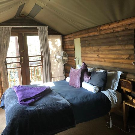 Teniqua Treetops Karatara Settlement Экстерьер фото