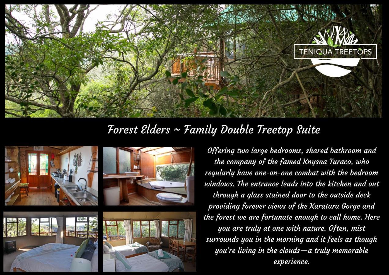 Teniqua Treetops Karatara Settlement Экстерьер фото