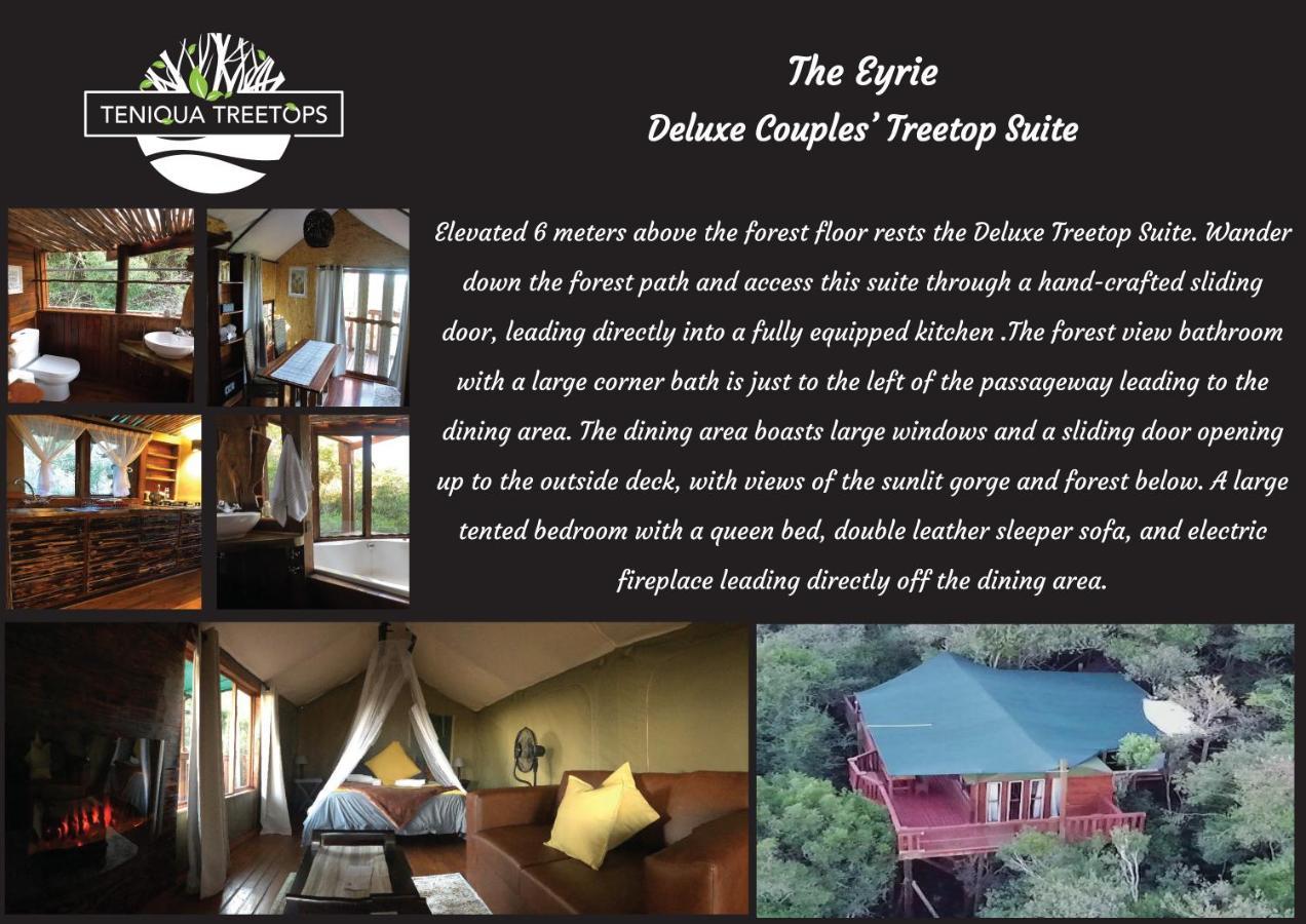 Teniqua Treetops Karatara Settlement Экстерьер фото