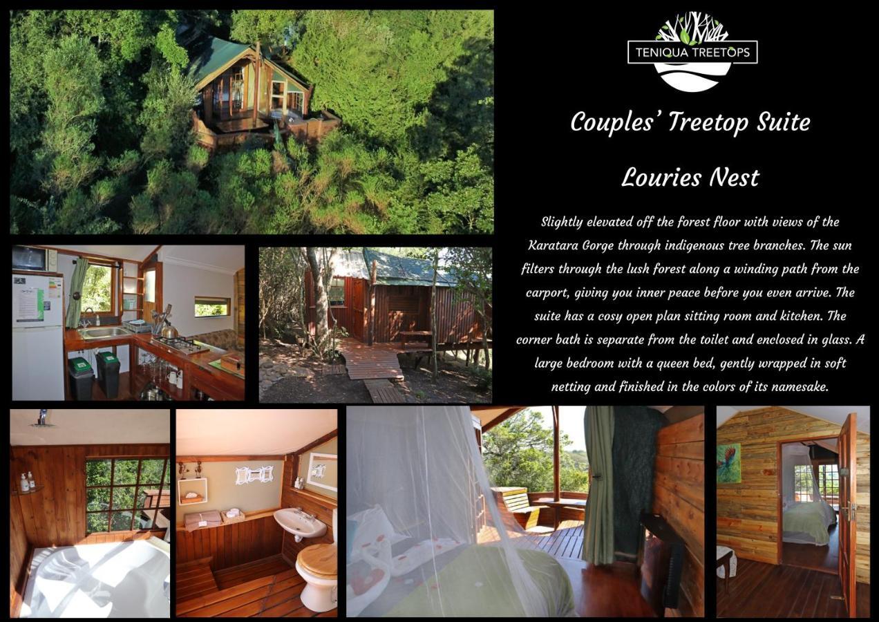 Teniqua Treetops Karatara Settlement Экстерьер фото