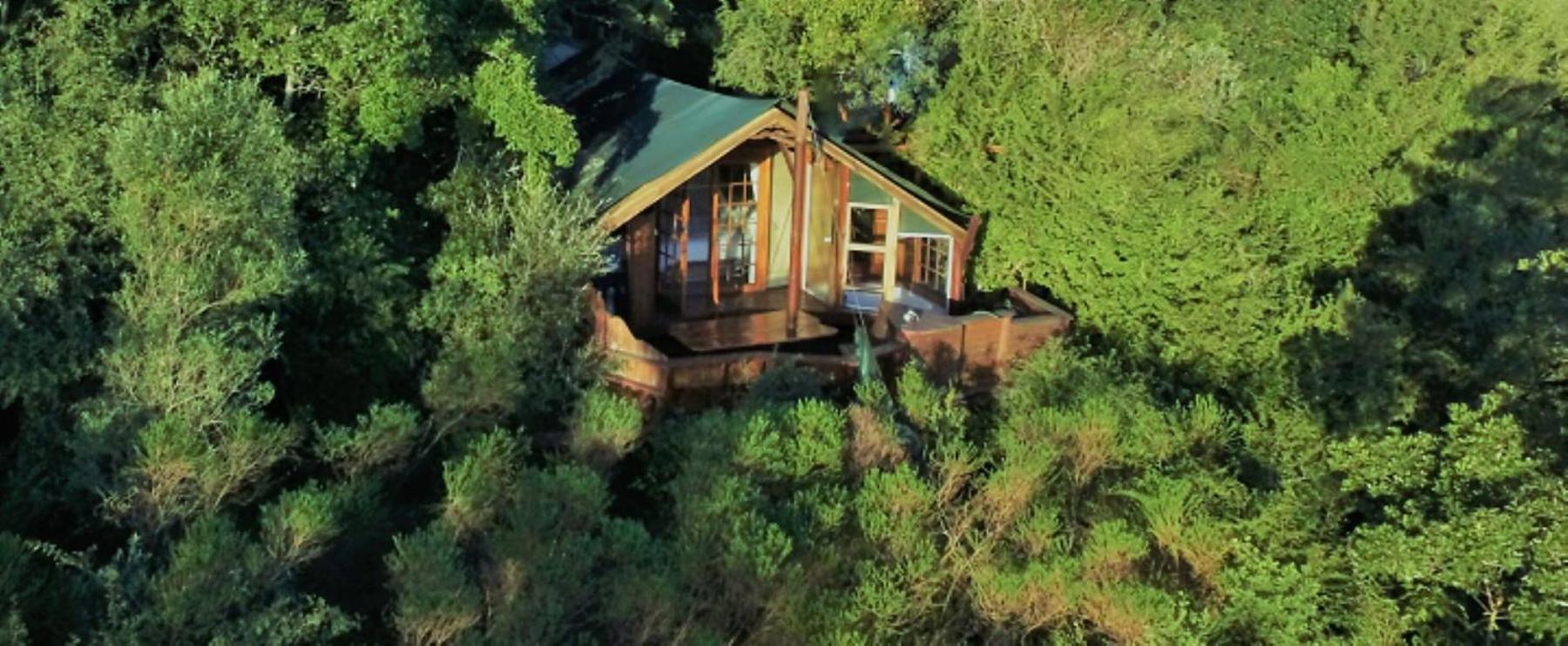 Teniqua Treetops Karatara Settlement Экстерьер фото