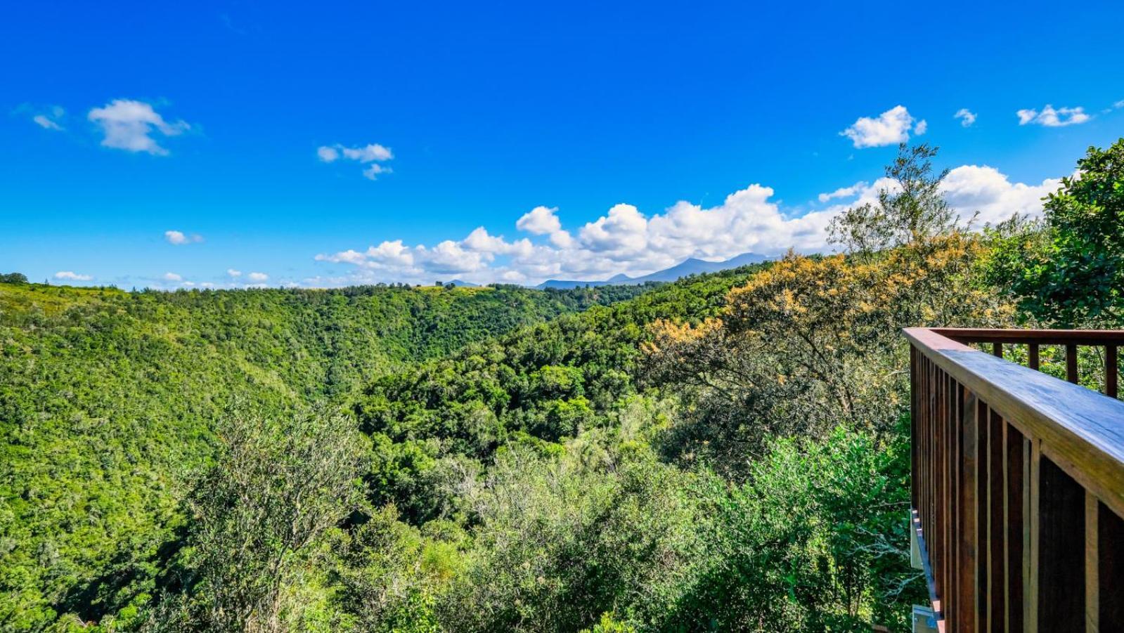 Teniqua Treetops Karatara Settlement Экстерьер фото