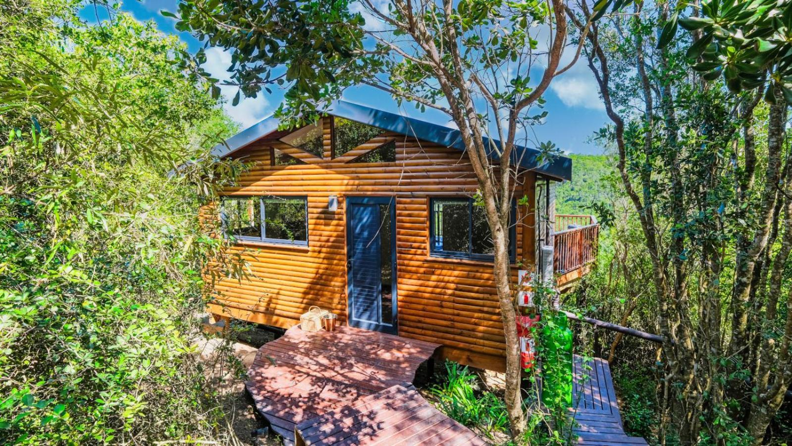 Teniqua Treetops Karatara Settlement Номер фото
