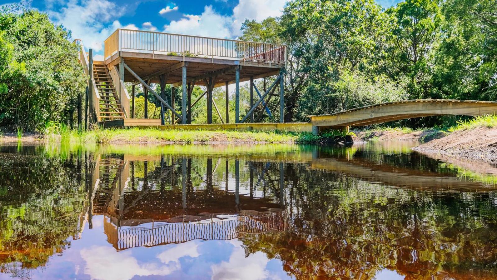 Teniqua Treetops Karatara Settlement Экстерьер фото