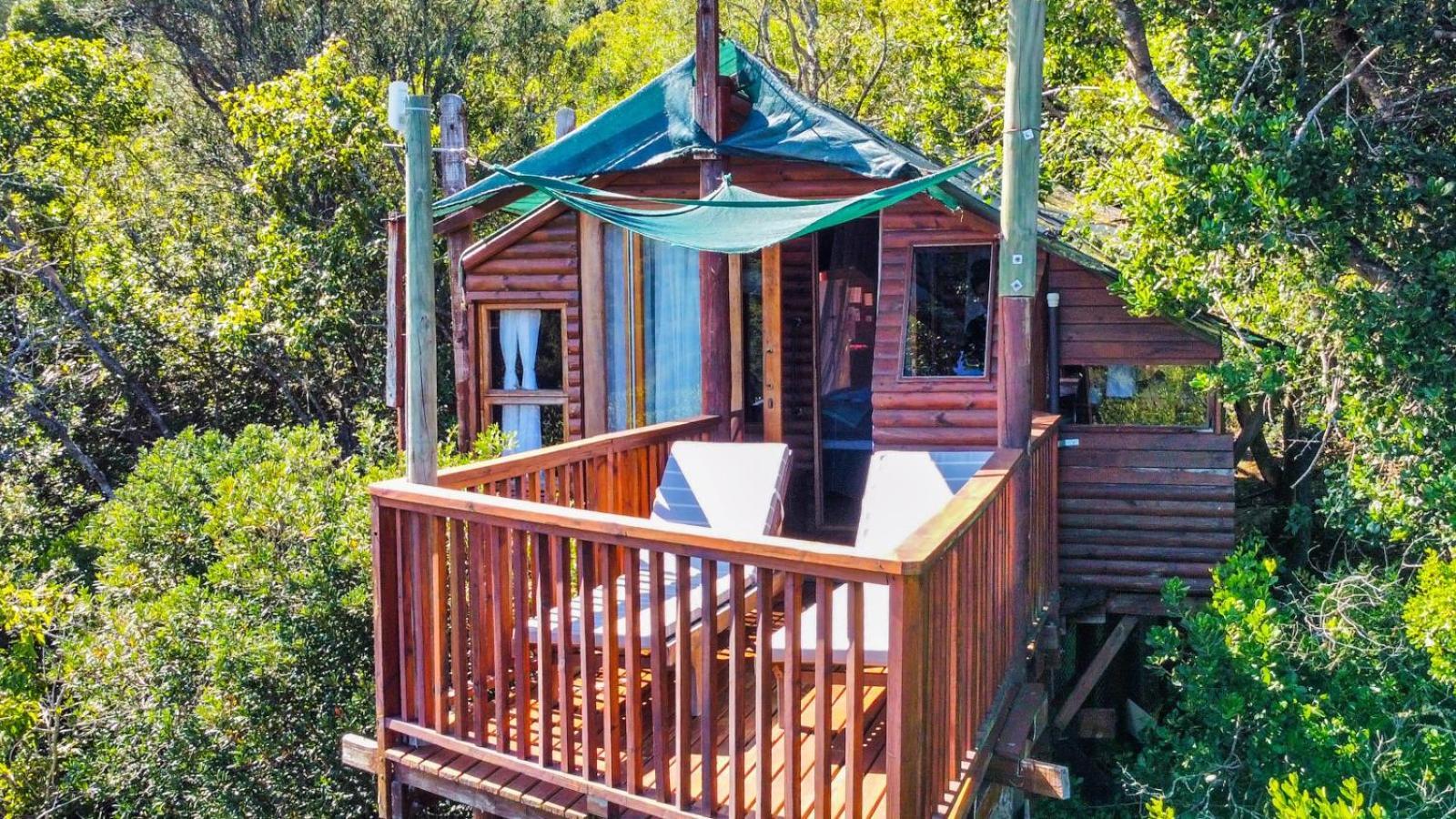 Teniqua Treetops Karatara Settlement Номер фото