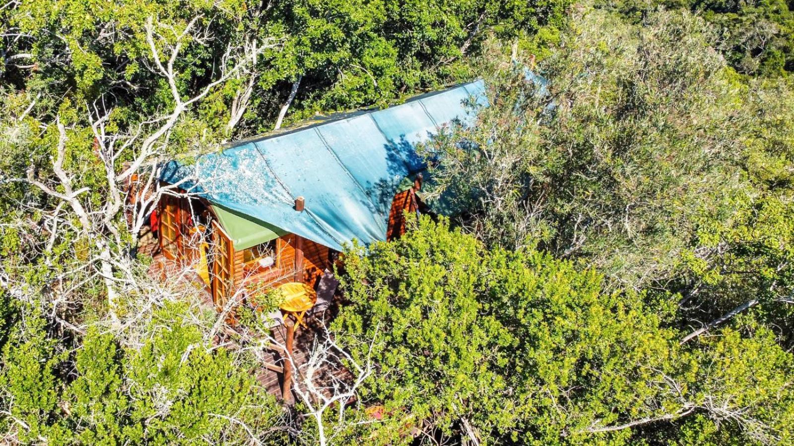 Teniqua Treetops Karatara Settlement Номер фото