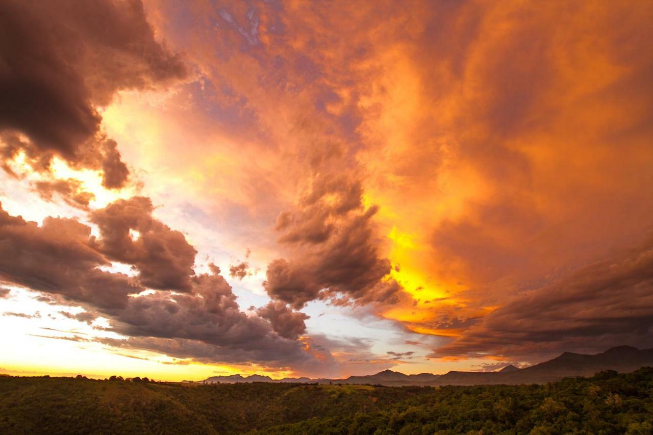 Teniqua Treetops Karatara Settlement Экстерьер фото